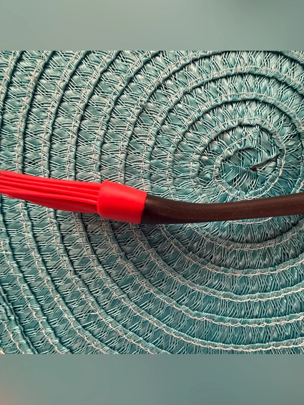 Goodcook Touch Basting Brush